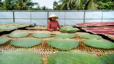 Vietnam has initiated the process of drafting a proposal to implement stricter country-of-origin labelling for food products and other items produced locally. ©Getty Images