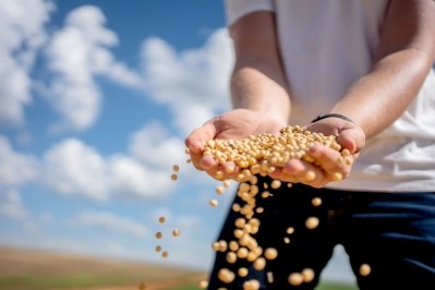 Soy-based foods could enhance gastrointestinal health, with fermented ones showing more consistent benefits, says a new study from Malaysia. © Getty Images