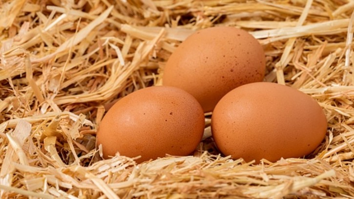 Mondelez has highlighted a need for product relevance and potential high purchase volumes as key factors for cage-free eggs adoption in a market. ©Getty Images