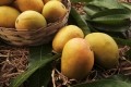 Alphonso mangoes © Getty Images
