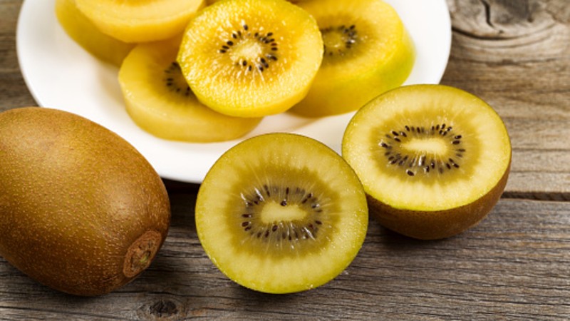 IP Protection in China: Lessons illegal control over loss its to kiwifruit of be Zespri\'s planting learnt gold of from